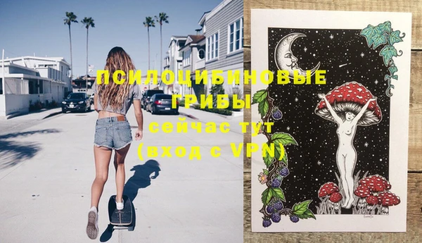 дмт Елизово