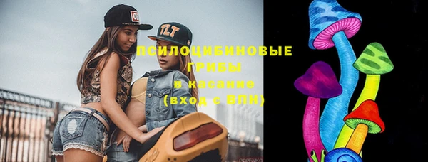 марки lsd Елабуга