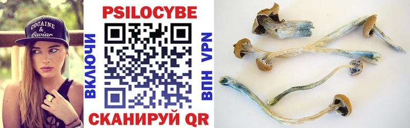 Купить закладки  Адыгейск  Галлюциногенные грибы GOLDEN TEACHER 